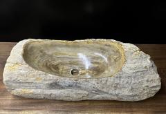 Petrified Wood Sink Organic Modern in Grey Beige Brown Tones Top Quality - 3594927