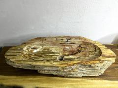 Petrified Wood Sink Top Quality in Beige Brown Pink Tones - 3595129