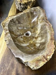 Petrified Wood Sink in Beige Yellow Brown Tones Polished Top Quality - 3996948