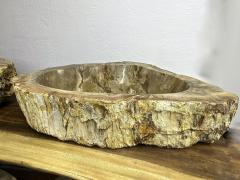 Petrified Wood Sink in Beige Yellow Brown Tones Polished Top Quality - 3996950