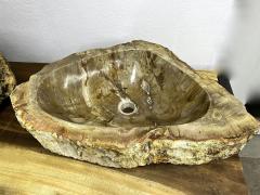 Petrified Wood Sink in Beige Yellow Brown Tones Polished Top Quality - 3996951