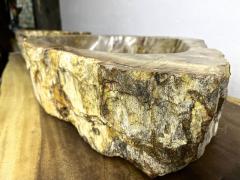 Petrified Wood Sink in Beige Yellow Brown Tones Polished Top Quality - 3996953