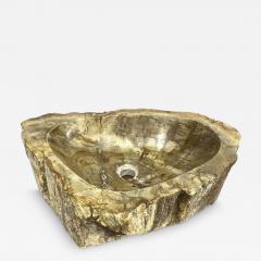 Petrified Wood Sink in Beige Yellow Brown Tones Polished Top Quality - 4000500