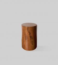Petrified Wood Table 1990 - 811618