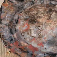 Petrified Wood Table with Mirrored Polished Bronze Base - 463640