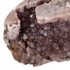 Petrified wood specimen and amethyst geode - 3345460