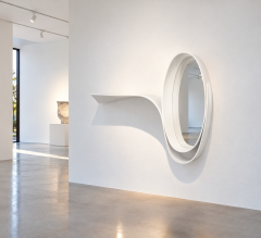 Philip Michael Wolfson WHY NOT MIRROR - 4820764