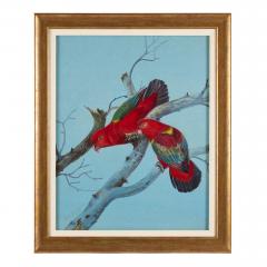 Philip Rickman Four Watercolour Studies of Australian Parrots by Philip Rickman - 4697758