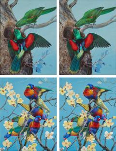 Philip Rickman Four Watercolour Studies of Australian Parrots by Philip Rickman - 4697819