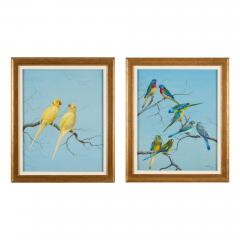 Philip Rickman Pair of Watercolour Studies of Exotic Parrots by Philip Rickman - 4697766