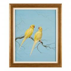 Philip Rickman Pair of Watercolour Studies of Exotic Parrots by Philip Rickman - 4697769