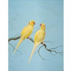 Philip Rickman Pair of Watercolour Studies of Exotic Parrots by Philip Rickman - 4697770