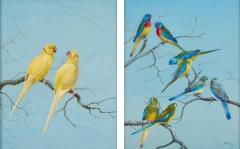 Philip Rickman Pair of Watercolour Studies of Exotic Parrots by Philip Rickman - 4697820