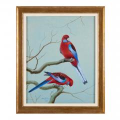 Philip Rickman Set of Five Ornithological Watercolours of Rosellas By Rickman Philip - 4644959