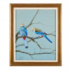 Philip Rickman Set of Five Ornithological Watercolours of Rosellas By Rickman Philip - 4644963