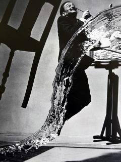 Philippe Halsman Editioned Dali Photograph Atomicus by Philippe Halsman - 4699654