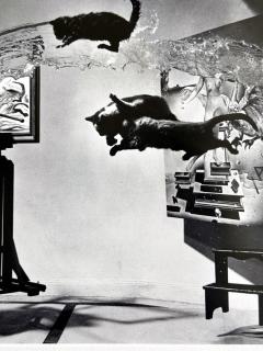 Philippe Halsman Editioned Dali Photograph Atomicus by Philippe Halsman - 4699655