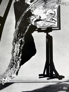 Philippe Halsman Editioned Dali Photograph Atomicus by Philippe Halsman - 4699659