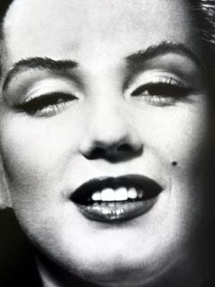 Philippe Halsman Framed Editioned Marilyn Monroe Photograph by Philippe Halsman - 4699726