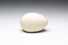 Philippe Starck Egg Shaped Footstools by Philippe Starck UK 1998 - 3506701