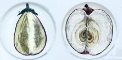 Piero Fornasetti Piero Fornasetti Pair of Sezioni Di Frutta Eggplant Apple Plates Nos 6 7  - 1614331