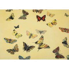 Piero Fornasetti Vintage Piero Fornasetti Farfalle Coffee Table - 4139351