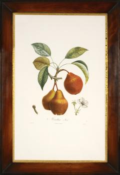 Pierre Jean Francois Turpin Trait des arbres fruitiers A Set of Pears - 1682545