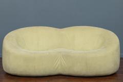 Pierre Paulin Pierre Paulin Pumpkin Sofa for Ligne Roset - 3422354