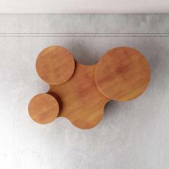 Pietro Franceschini Wood Slice Me Up Sculptural Coffee Table by Pietro Franceschini - 1758629