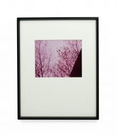 Pink Toned Color Photograph Of The Moon At Dusk - 3174635
