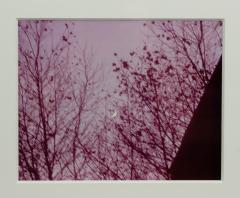 Pink Toned Color Photograph Of The Moon At Dusk - 3174636