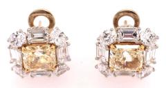 Platinum Colored Diamond and Diamond Ear Studs 11 60 Carat Total Diamond Weight - 1271151