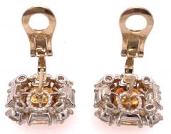 Platinum Colored Diamond and Diamond Ear Studs 12 72 Carat Total Diamond Weight - 2600574