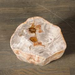 Polished Petrified Wood Side Table Stool w Agate Inclusions Natural Graining - 4792441