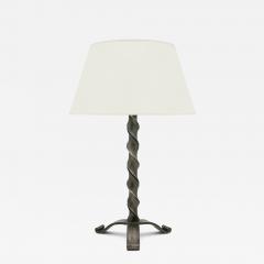 Polished Steel Twist Lamp - 3907505