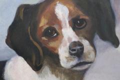 Portrait Of A Beagle Oil Painting - 3190542
