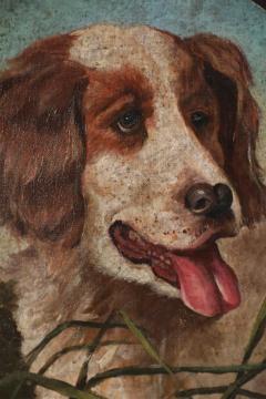 Portrait Of Hunting Dog Oil Painting - 3189898