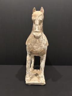 Pottery Horse Tang Dynasty 518 906 A D TL tested  - 4129199