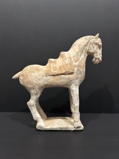 Pottery Horse Tang Dynasty 518 906 A D TL tested  - 4129200