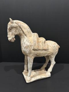 Pottery Horse Tang Dynasty 518 906 A D TL tested  - 4129201
