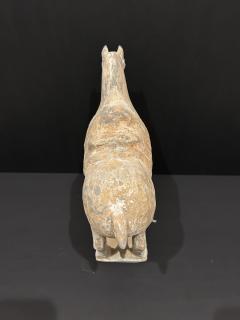 Pottery Horse Tang Dynasty 518 906 A D TL tested  - 4129202