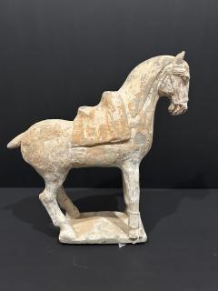 Pottery Horse Tang Dynasty 518 906 A D TL tested  - 4129203