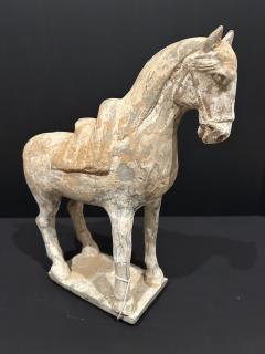 Pottery Horse Tang Dynasty 518 906 A D TL tested  - 4129204