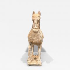 Pottery Horse Tang Dynasty 518 906 A D TL tested  - 4130252