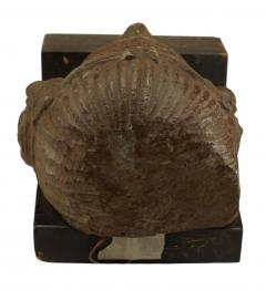 Pre Colombian Stone Bust - 4666149