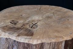 Primitive Chopping Block End Tables - 2013689