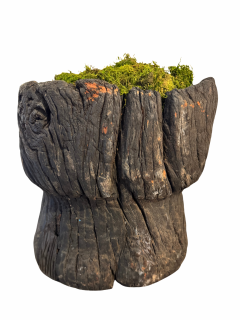 Primitive Stump - 4299446