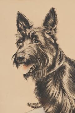 Print of a Scottie U S A 19th century - 4394045