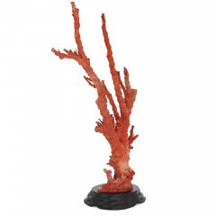 Qing dynasty antique Chinese red coral specimen - 3710467