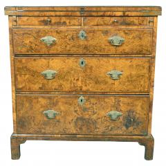 Queen Anne Burr Walnut Bachelors Chest - 4322998